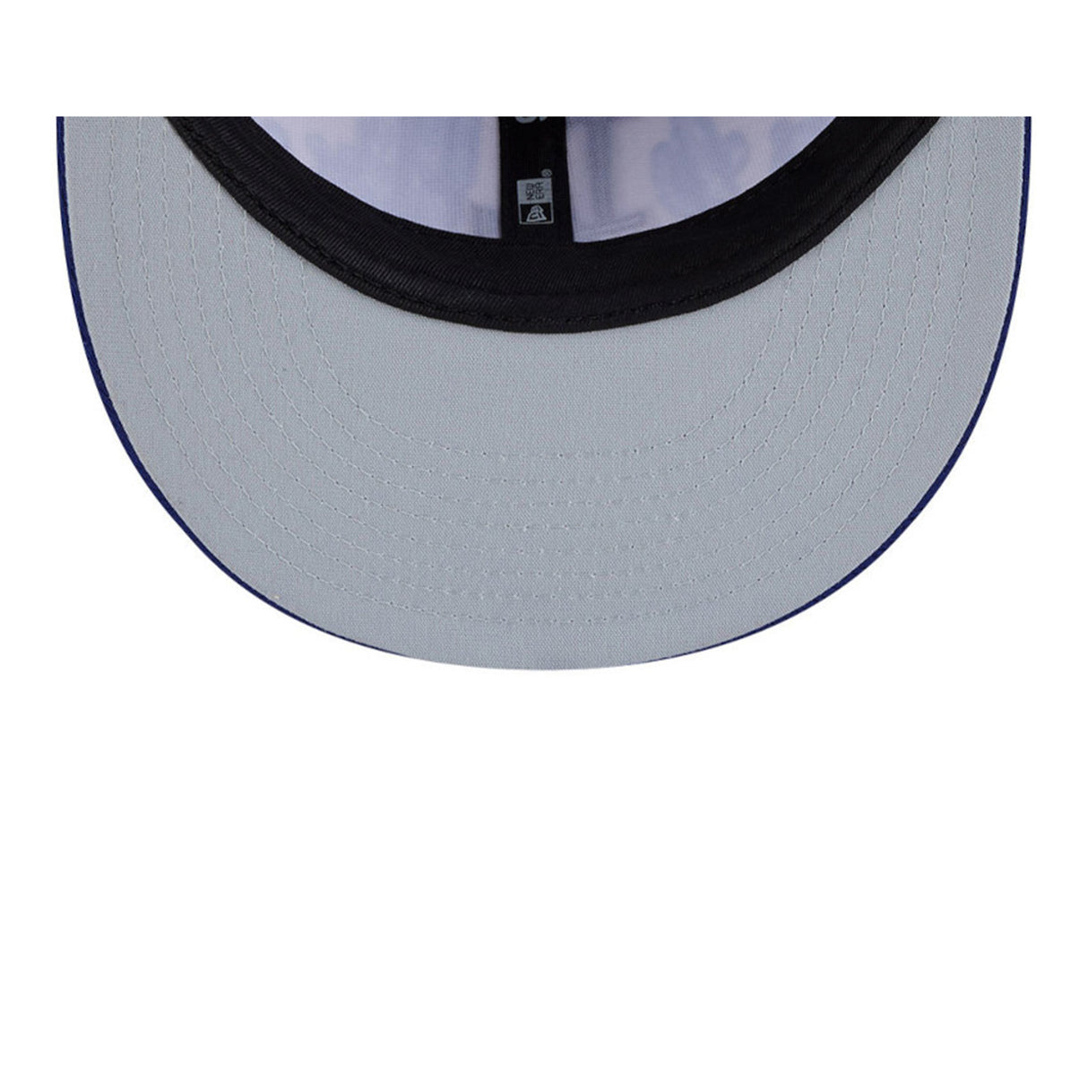 Los Angeles Dodgers 2026 Spring Training Blue & White 9FIFTY Snapback Hat