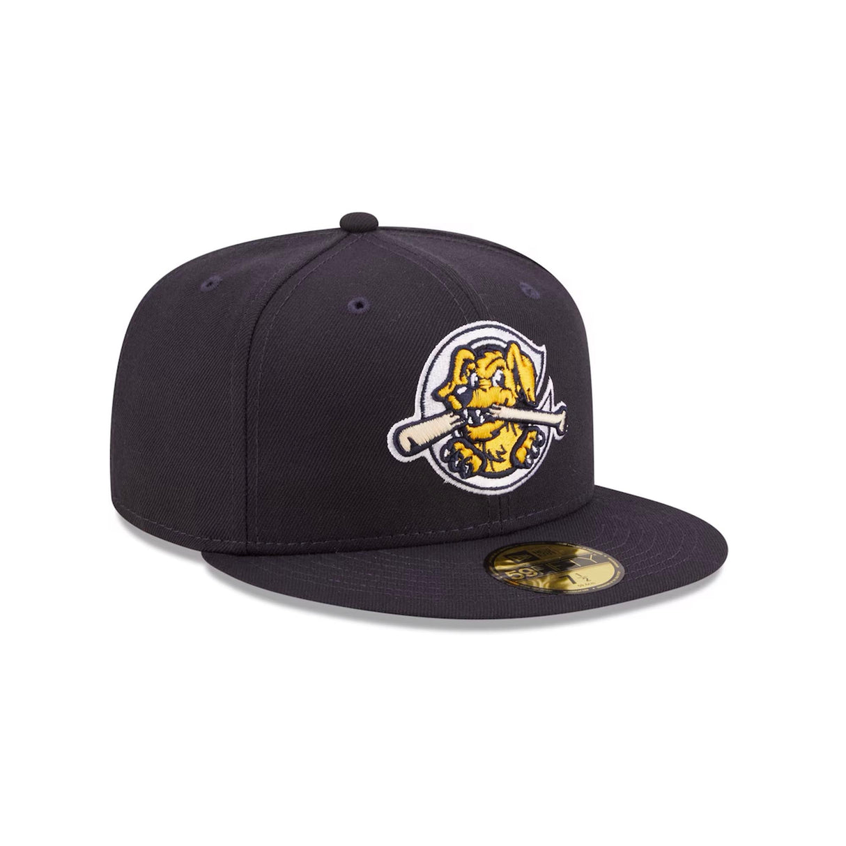 Charleston Riverdogs Authentic Collection 59FIFTY Fitted Hat - Navy - New Era -