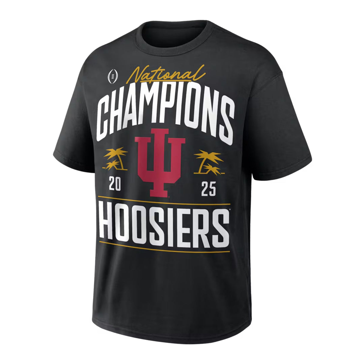 Indiana Hoosiers College Football Playoff 2025 National Champions Black Nike Heavyweight Locker Room Authentic T-Shirt - Nike - 37080162601