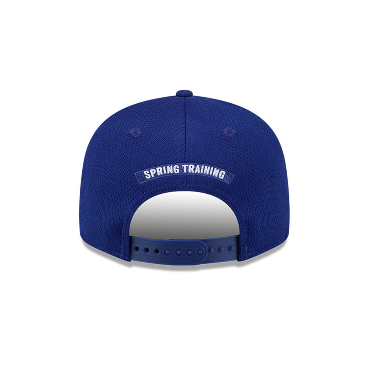 Los Angeles Dodgers 2026 Spring Training Blue & White 9FIFTY Snapback Hat - New Era - 230104411