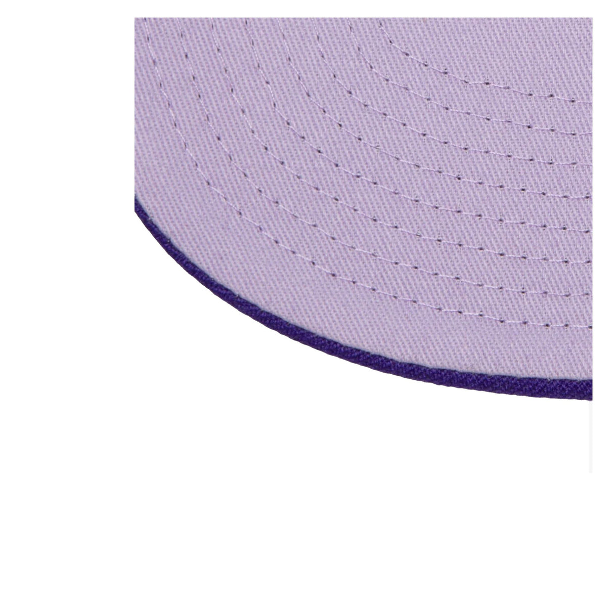 Los Angeles Lakers 1987 NBA Finals Monochromatic Purple Snapback - Mitchell & Ness -