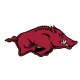 Arkansas Razorbacks