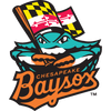Chesapeake Baysox
