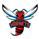 Delaware State Hornets
