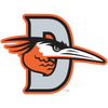 Delmarva Shorebirds