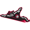 Richmond Flying Squirrels