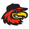 Rochester Red Wings