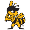 Salt Lake Bees