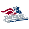 Somerset Patriots