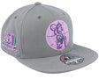 Gray and lavender Boston Celtics 20th Anniversary fitted hat featuring a celebratory logo and embroidered details.