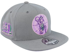 Gray and lavender Boston Celtics 20th Anniversary fitted hat featuring a celebratory logo and embroidered details.
