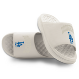 Los Angeles Dodgers Tonal Pop Motive