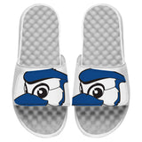 Toronto Blue Jays Mascot Slides