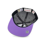 Boston Celtics 20th Anniversary Gray Fitted Hat - Mitchell & Ness - 31002201