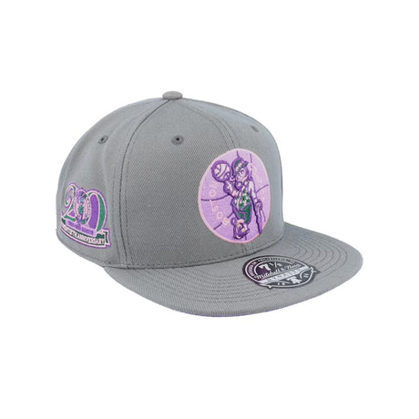 Boston Celtics 20th Anniversary Gray Fitted Hat - Mitchell & Ness - 31002201