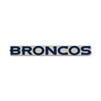 Denver Broncos Wordmark Collector Enamel Pin - Wincraft - 3236011052