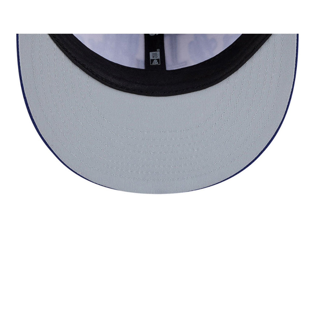 Los Angeles Dodgers 2026 Spring Training Blue & White 9FIFTY Snapback Hat - New Era - 230104411