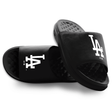 Los Angeles Dodgers Alt Motive - ISlide - 775433-01-DodgersPrimary-03