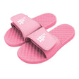 Los Angeles Dodgers Primary Pink Slides - ISlide - 475433-19-DodgersPink-02