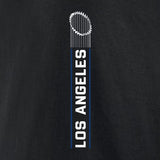 Los Angeles Dodgers 2025 World Series Champions Black Pullover Hoodie