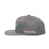 Phoenix Suns Gray Hardwood Classics 25th Anniversary Fitted Hat - Mitchell & Ness - 31002201