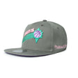 Phoenix Suns Silver Classic Fitted Hat - Mitchell & Ness - 