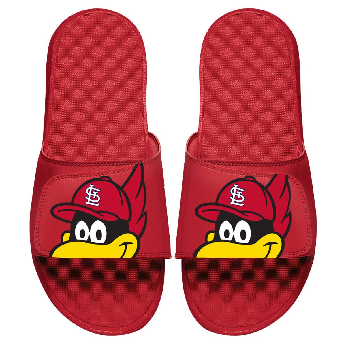 St. Louis Cardinals Mascot Slides - ISlide - 475433-11-STLCardinalsMascot-02