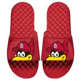 St. Louis Cardinals Mascot Slides - ISlide - 475433-11-STLCardinalsMascot-02
