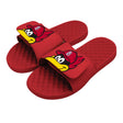 St. Louis Cardinals Mascot Slides - ISlide - 475433-11-STLCardinalsMascot-02