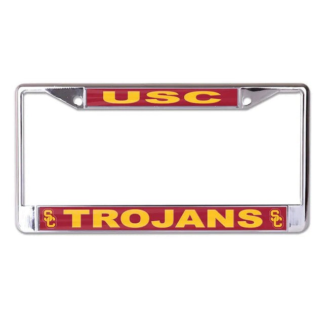Front view of UC Irvine license plate frame showcasing blue and gold Anteaters graphics with white background