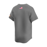 Tennessee Volunteers Alternate Gray Limited Jersey - Nike - 230370166209