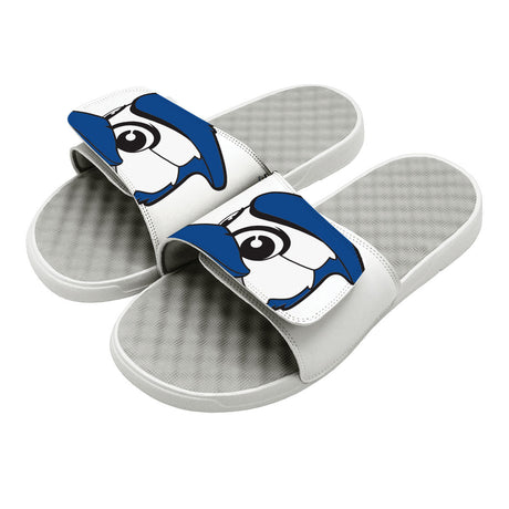 Toronto Blue Jays Mascot Slides - ISlide - 475433-10-BlueJaysMascot-03