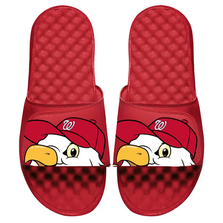 Washington Nationals Mascot Slides - ISlide - 475433-11-NationalsMascot-02