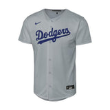 Youth Los Angeles Dodgers Shohei Ohtani Gray Baseline Alternate Jersey - Nike - 241401411109