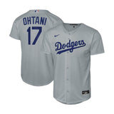 Youth Los Angeles Dodgers Shohei Ohtani Gray Baseline Alternate Jersey - Nike - 241401411109